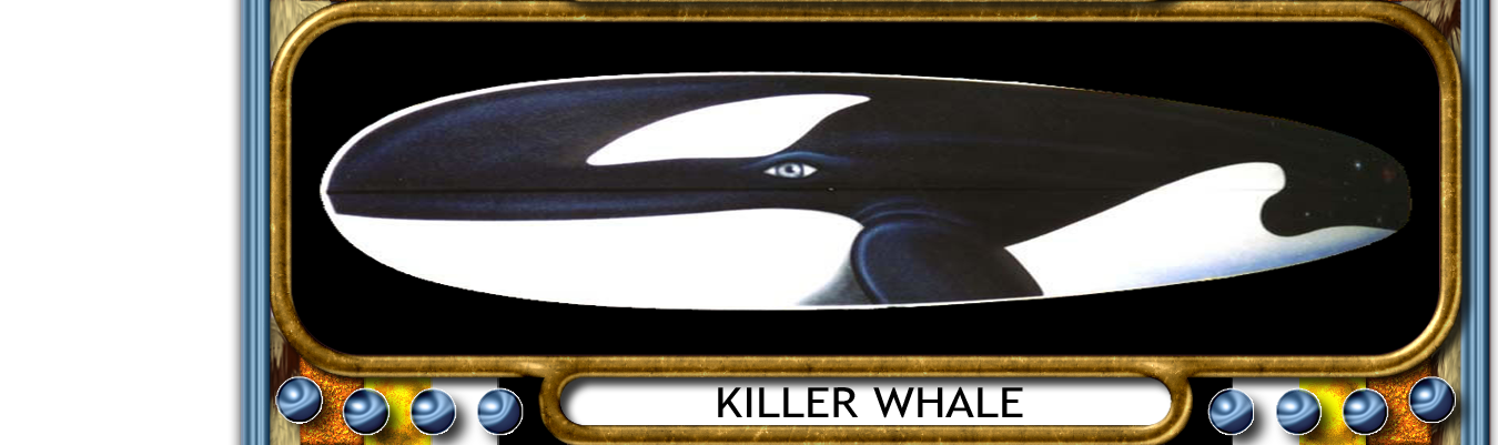 KILLER WHALE